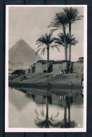 (A154) AK Ägypten - Cairo - Gizeh - Gizeh