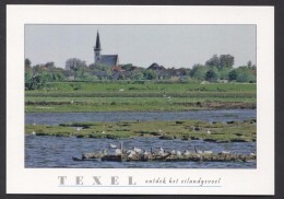 Texel , Gezich Op Den Hoorn   - NOT Used  See The 2  Scans For Condition. ( Originalscan !!! ) - Texel