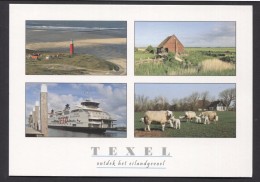 Texel   - NOT Used  See The 2  Scans For Condition. ( Originalscan !!! ) - Texel