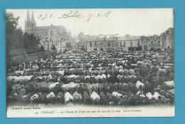 CPA 43 - Le Champ De Foire Jour De Marché Aux Bestiaux (1200 Bêtes à Cornes) CHOLET 49 - Cholet