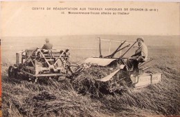 Moissonneuse-Lieuse Massey-Harris 1915 Attelée Au Tracteur Non Voyagée - Tracteurs