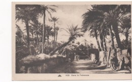 3026 Postal   Dans La Palmeraie , Palmeras Animada, Algeria - Trees