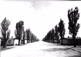 # Lagerstrasse ( Dachau) - Main Road Through The Camp - Dachau