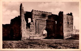 MEKNES - Porte Bab-Kémis - Meknès