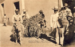 CABO VERDE, SÃO TIAGO, Vendedor De Palha, 2 Scans - Kaapverdische Eilanden