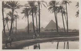 CPA - AK Kairo Blick Pyramiden Cairo Caire Pyramides Gizeh Egypt Egypte Ägypten Afrique Africa Afrika Timbre - Gizeh