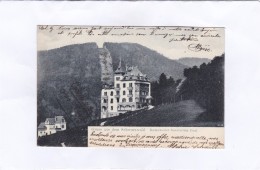 Gruss  Aus  Dem  Schwarzwald.   Badenweiler  Sanatorium  Paul - Badenweiler