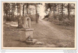 -50% . BRULY - DE - PESCHES ..-- COUVIN ..--  Fontaine Saint - Meen . - Couvin