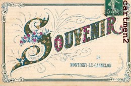 SOUVENIR DE MONTIGNY-LE-GANNELON CARTE A PAILLETTES 28 EURE-ET-LOIRE - Montigny-le-Gannelon