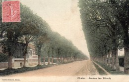 AVENUE DES TILLEULS - Chanteloup Les Vignes