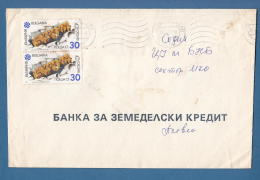 209807 / 1991 - 2 X 30 St. - EXPO '91 PLOVDIV , PLEVEN -  BANK FOR AGRICULTURAL CREDIT , Bulgaria Bulgarie Bulgarien - Storia Postale