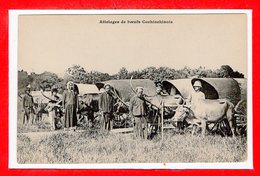 VIËT-NAM --  COCHINCHINE --  Attelages De Boeufs - Viêt-Nam