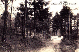 80 / 80 - POIX - LA PASSERELLE DU BOIS DE CROIXRAULT - Poix-de-Picardie