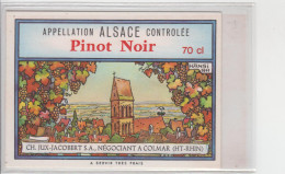 ETIQUETTE VIN PINOT NOIR D´ALSACE / CH. JUX-JACOBERT à COLMAR Illustré Par HANSI 1947 - Riesling