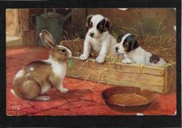 CPA Carte Ancienne Lapin Bunny Rabbit Fantaisie Illustrateur Circulé Oilette - Altri & Non Classificati