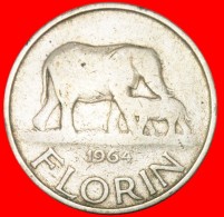 * ELEPHANT: MALAWI ★ FLORIN 1964! YEAR=TYPE! LOW START★NO RESERVE! Banda (1963-1994) - Malawi