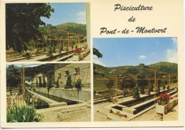 Le Pont De Monvert : La Pisciculture (fédération Départementale Associations Pêche Pisciculture Lozère) - Le Pont De Montvert