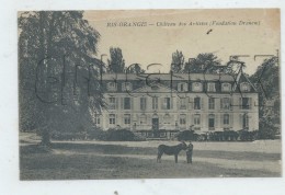 Ris-orangis (91) : Le Château Des Artistes Fondation Dramen En 1922 (animé) PF. - Ris Orangis