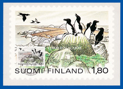 FINLAND 1983  MAXIMUM  CARD  SEA BIRDS  RAZORBILLS   F.D.C.  FACIT 922 - Tarjetas – Máximo