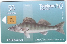 SLOVENIA SLOVENIJA   PHONECARD 1998 SMUČ SLIVNISKO JEZERO FISH STIZOSTEDION LUCIOPERCA TELEKOM CAT.NO. 132 - Slovenia