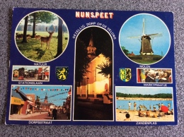 Nederland Nunspeet - Nunspeet