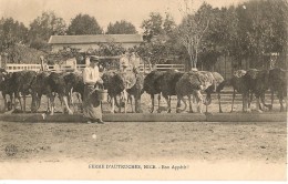 NICE     Ferme D'Autruches   Bon Appétit ! - Old Professions