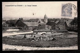 CPA ANCIENNE- CHAMPIGNY-SUR-YONNE (89)- LE CHAMP COMMUN EN TRES GROS PLAN- ANIMATION- VIEILLES MAISONS - Champigny