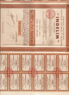 ACTION INDELIM ME AUBRON NOTAIRE 1931 - Electricidad & Gas