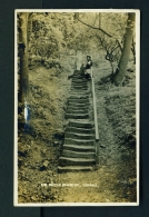 ENGLAND  -  Consall  The Devil's Staircase  Unused Vintage Postcard  (surface Rub Left Side) - Autres & Non Classés