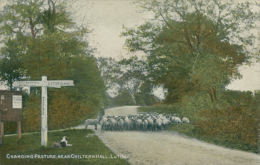 GB LUTON / Changing Pasture Near Chiltern Hall / COLORED CARD - Otros & Sin Clasificación