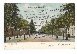 Schiedam - Carte Postale Voyagée. - Trenkler Leipzig - - Schiedam