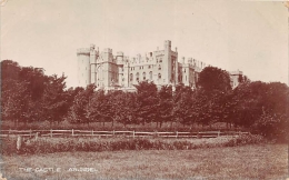 SUSSEX  THE CASTLE  ARUNDEL - Arundel