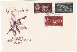 FLORA-L63 - ALLEMAGNE ORIENTALE FDC Protection De La Nature Fleurs Orchidée, Chardons Et Lézard 1957 - 1950-1970