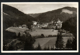 2766 - Alte Foto Ansichtskarte - St. Blasien Gel 1931 TOP - St. Blasien