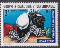 New Caledonia SG 521 1973 Marine Fauna, 3 F Common Egg Cowrie, MNH - Ungebraucht