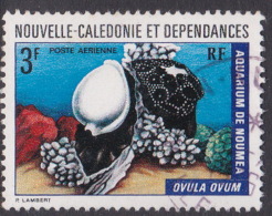New Caledonia SG 521 1973 Marine Fauna,3 F Common Egg Cowrie, Used - Gebraucht