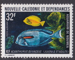 New Caledonia SG 522 1973 Marine Fauna,32 F Orange Spotted Surgeon Fish, MNH - Unused Stamps