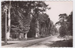 Crécy-en-Ponthieu. La Forêt. - Crecy En Ponthieu