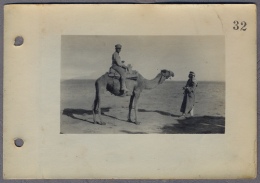 Near Mosul Turkish Soldiers And German  Soldiers  Camel  About 1917y.  Photo  C430 - Iraq