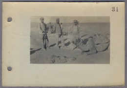 Near Mosul Turkish Soldiers And German  Soldiers  Camel  About 1917y.  Photo  C431 - Iraq
