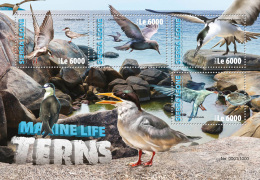 SIERRA LEONE 2016 ** Terns Seeschwalben M/S - OFFICIAL ISSUE - A1620 - Hirondelles