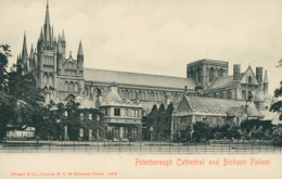 GB PETERBOROUGH / Peterborough Cathedral And Bishops Palace / GLOSSY CARD - Altri & Non Classificati