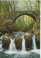 Mullerthal Schiessentumpel Waterfall Wasserfall - Unused - It Was Stuck On Paper - Muellerthal