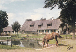 SOUVIGNY  CHEVAL A L'ABREUVOIR (dil235) - Ile-de-France