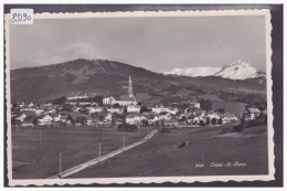 Delcampe - CHATEL SAINT DENIS - TB - Châtel-Saint-Denis