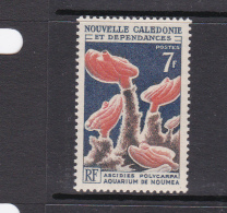 New Caledonia SG 383 1964 Corals And Marine Animals 7F Ascidies Polycarpa,MNH - Gebruikt