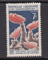 New Caledonia SG 383 1964 Corals And Marine Animals 7F Ascidies Polycarpa,used - Oblitérés