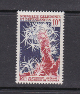 New Caledonia SG 384 1964 Corals And Marine Animals 10F Alcyonium Catalai,MNH - Oblitérés