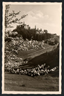 2768 - Alte Foto Ansichtskarte - Burg Lauenstein Oberfranken N. Gel. TOP - Kronach