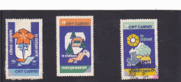 CINDARELA LABELS,VIGNIETTE,TOURISM,3 STAMPS,ROMANIA. - Steuermarken